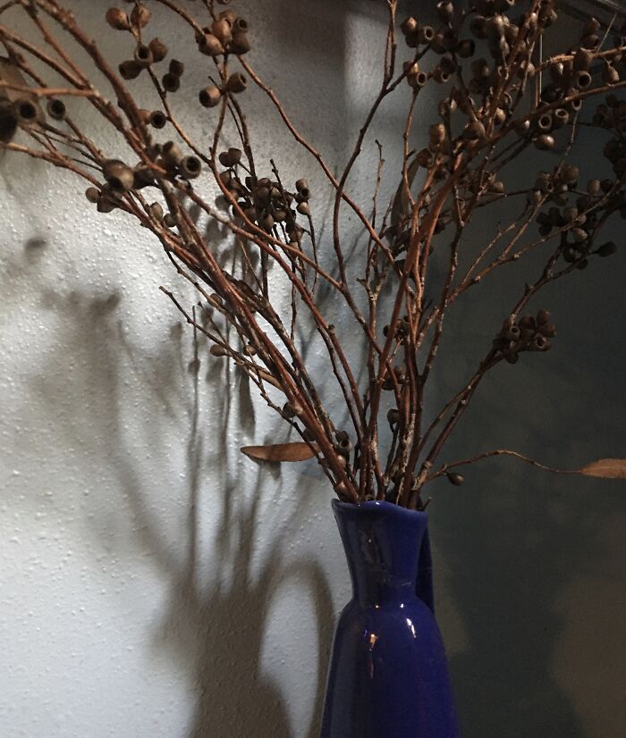 Bringing The Outside In - Eucalyptus Twigs - In Seattle