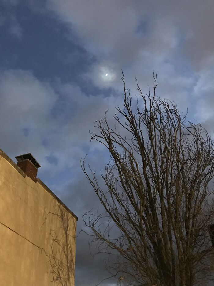 A Knobbly Tree Reaching For The Moon On A Cloudy Night