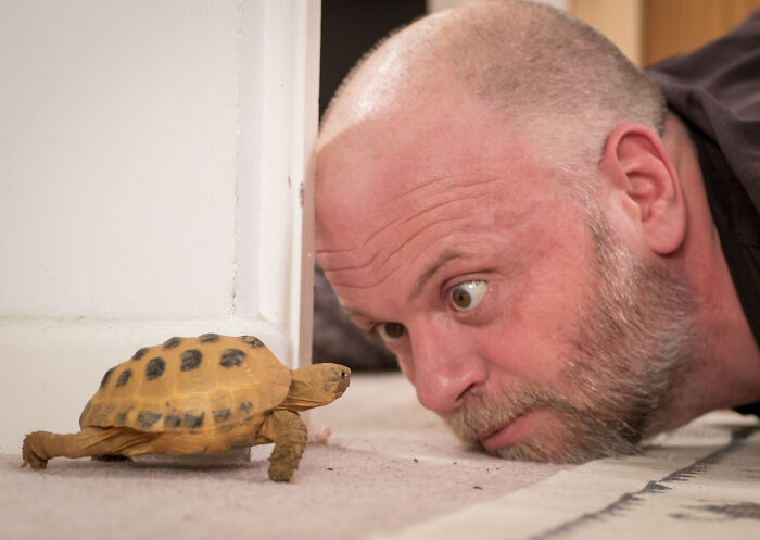 My Gorgeous Boys, Paul (The Bearded One) And Frank (The Wrinkly One)