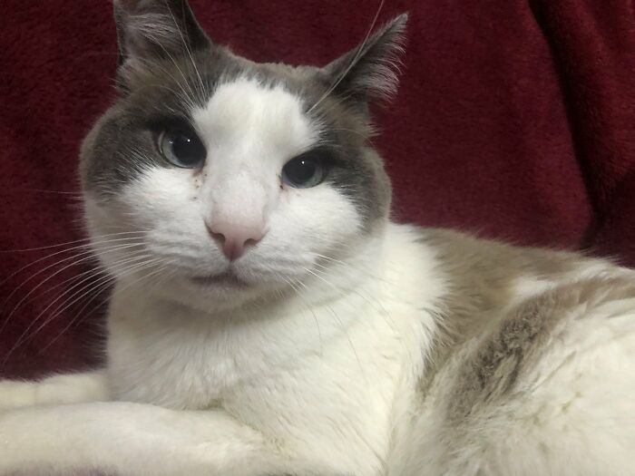 Notice The Difference. 11 Years And I Want More