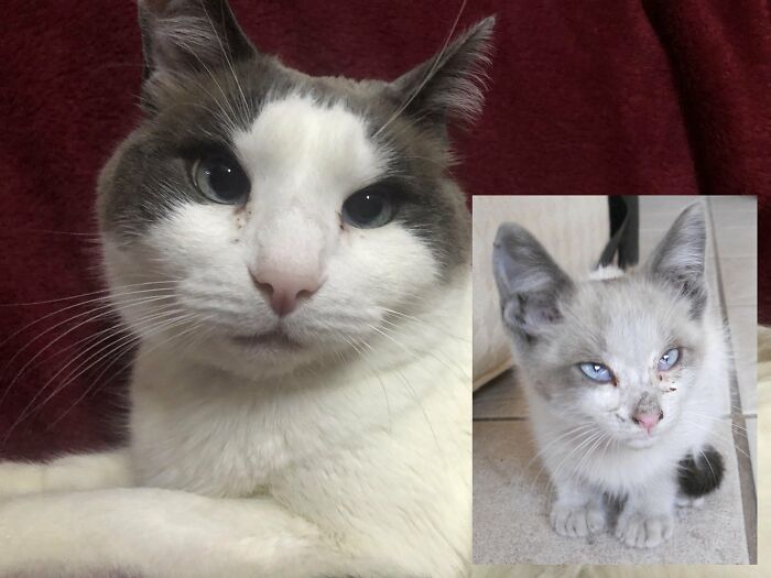 Notice The Difference. Is Been 11 Years