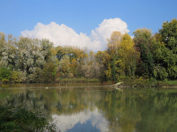 My Favorite Place, An Oasis Of Wilderness In The Heart Of The City