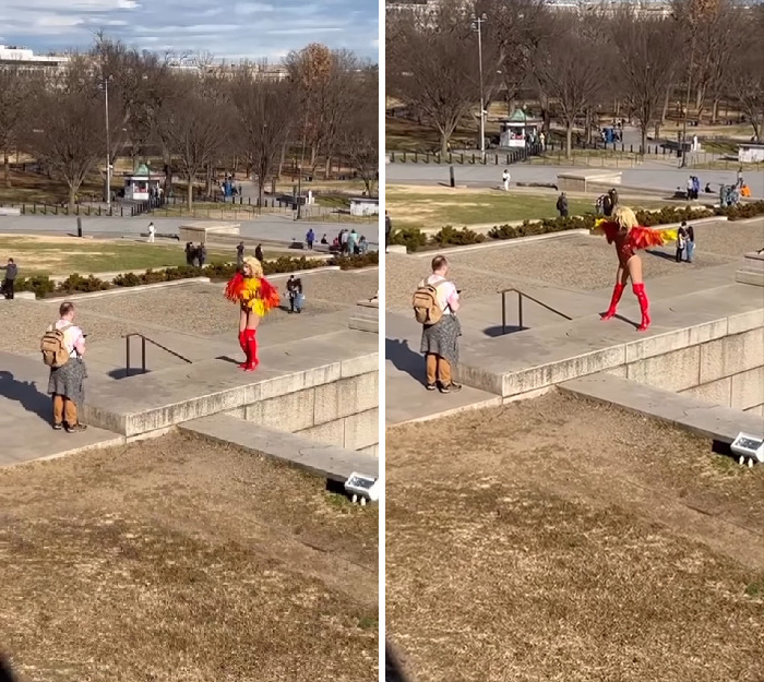 What In The Chicken Dance Is Happening