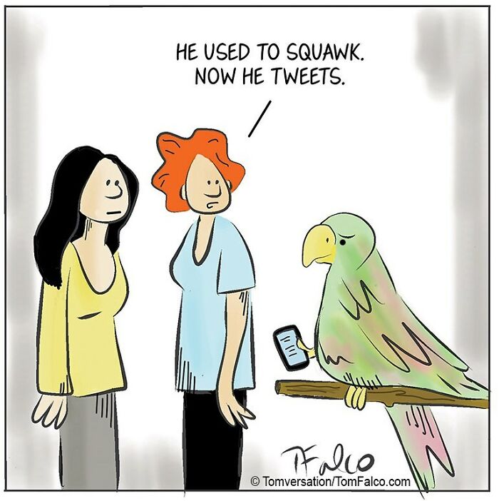 One-Panel Comics Filled With Absurd Situations And Silly Humor By Tomversation (New Pics)