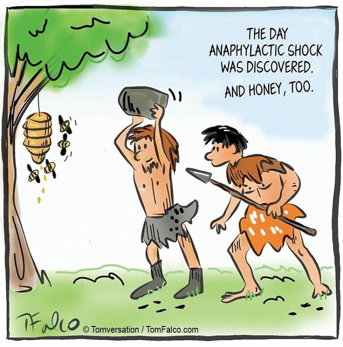 One-Panel Comics Filled With Absurd Situations And Silly Humor By Tomversation (New Pics)