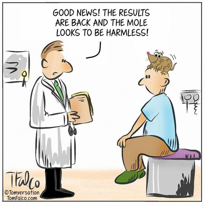 One-Panel Comics Filled With Absurd Situations And Silly Humor By Tomversation (New Pics)