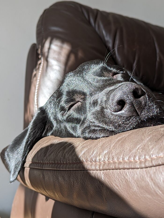 Sunniest Place In The House .. And Not Budging!!