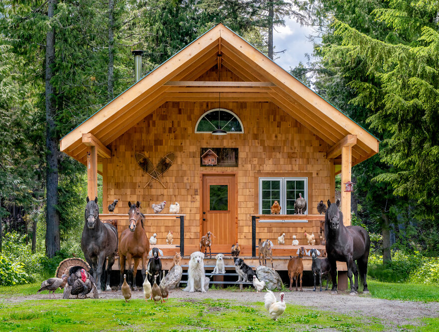 Here Is Our Own Little Farm, Pixel With Her Entire Farmily!