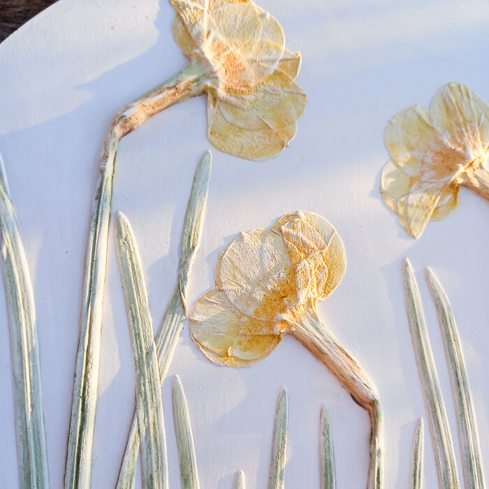 Plants Preserved In The Mineral As Fossils (4 Pics)