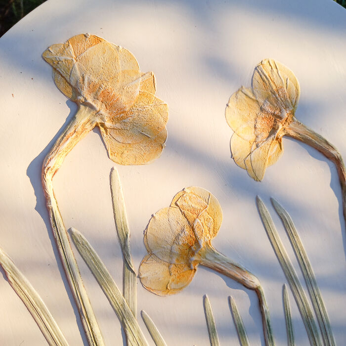 Plants Preserved In The Mineral As Fossils (4 Pics)