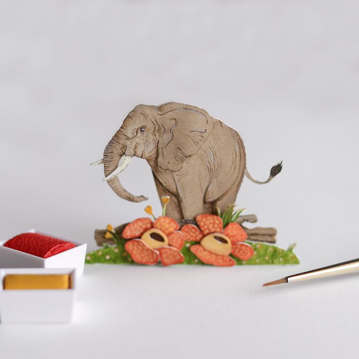 Elephant Pollinating Rafflesia