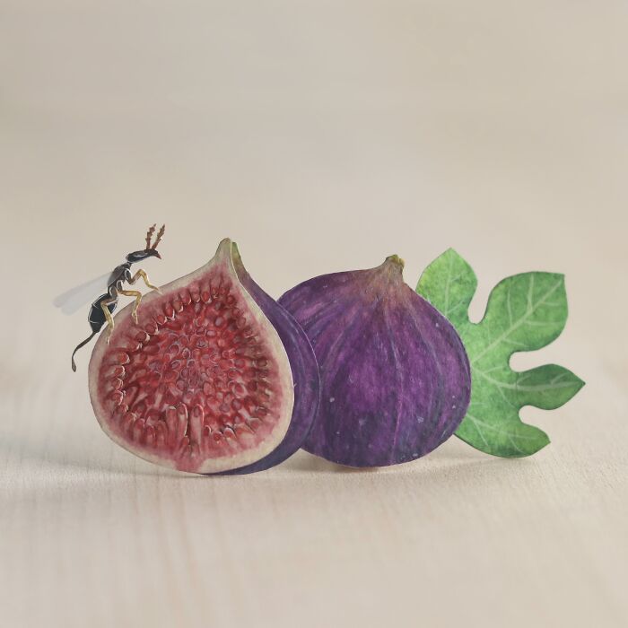 Fig Wasp