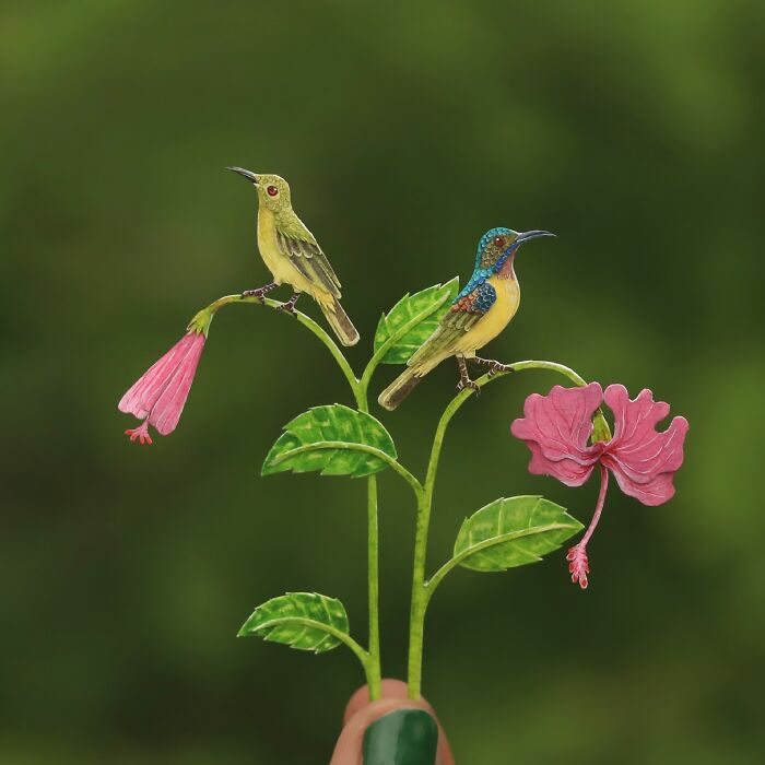 Brown Throated Sunbird