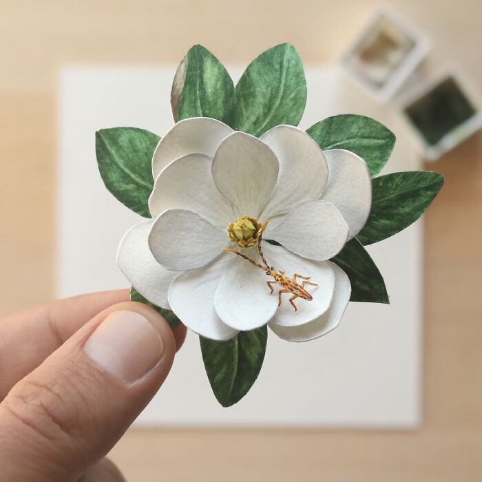 Long Horn Beetle On Magnolia Flower