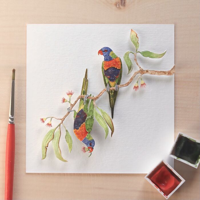 Rainbow Lorikeets