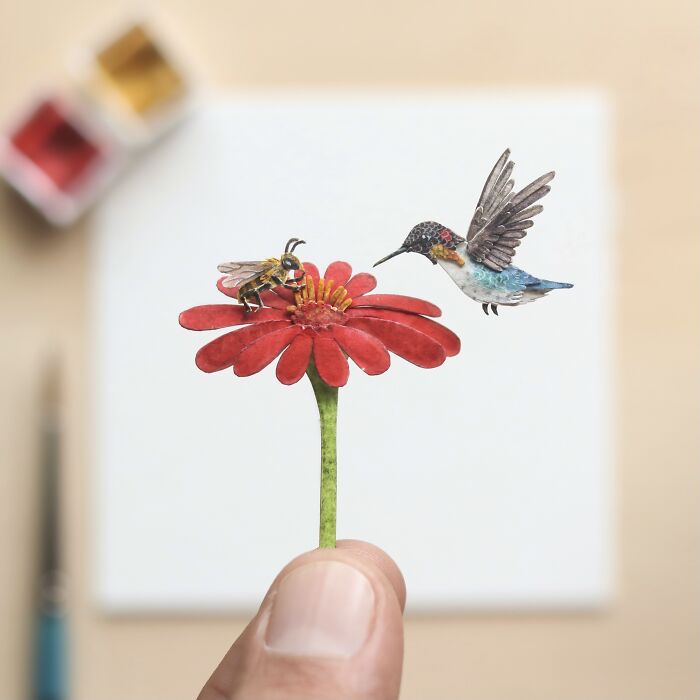 Bee And Bee Hummingbird