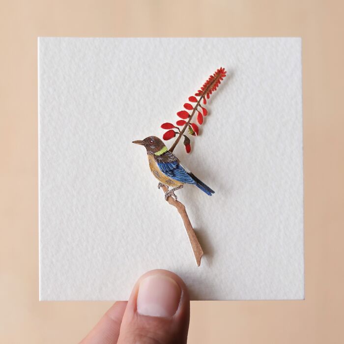 Golden Collared Honeycreeper