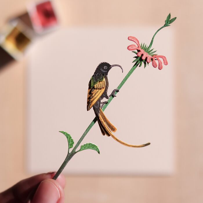 Golden Winged Sunbird