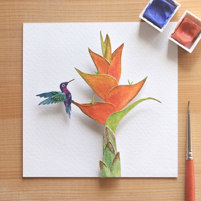 Purple Throated Carib