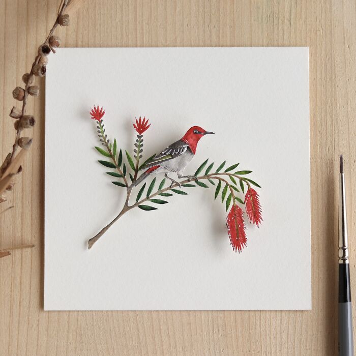 Red Headed Honeyeater