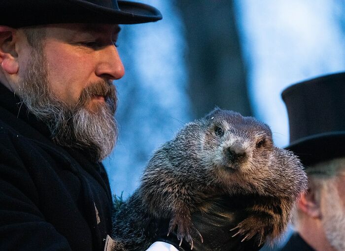 Punxsutawney Phil