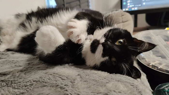 So Sweet Yet So Sharp