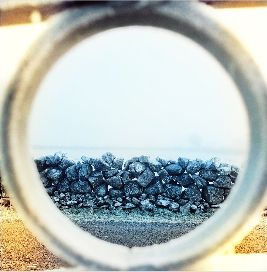 My Favourite Photo That I Took This Year