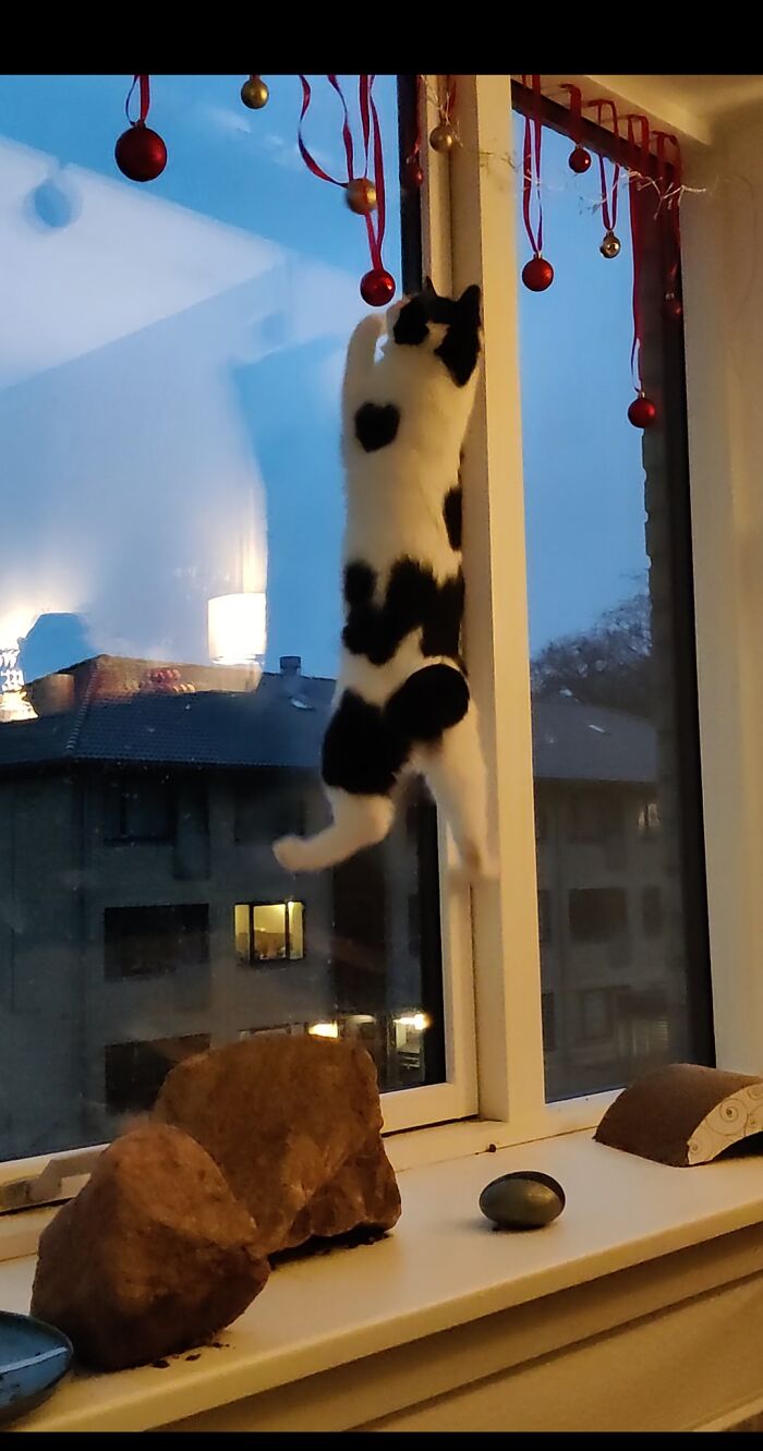 No Christmas For You >:)