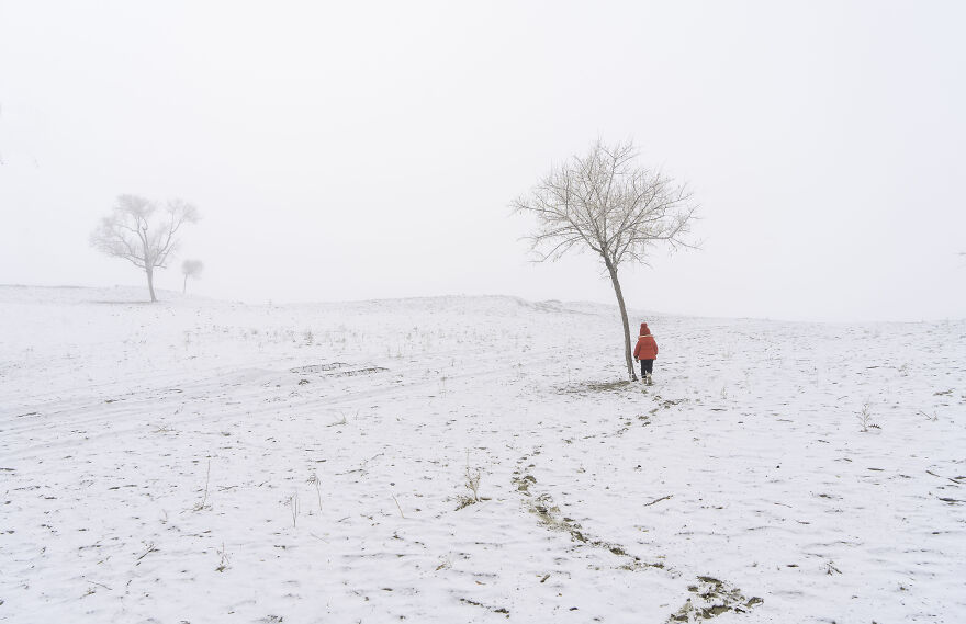 See The Winners From The Sony World Photography Awards 2023