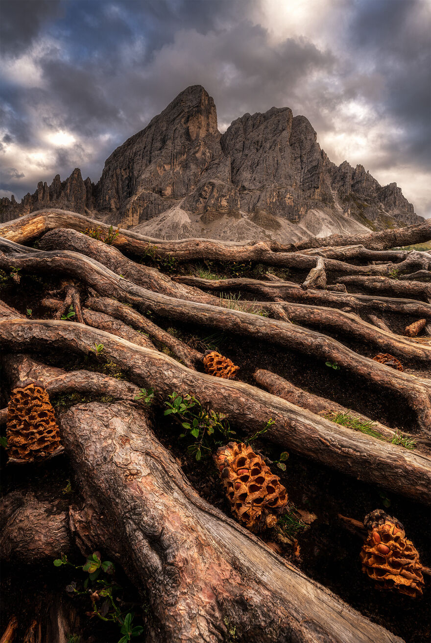 See The Winners From The Sony World Photography Awards 2023