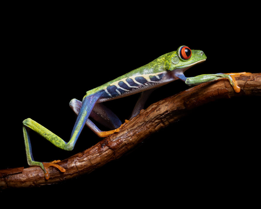 See The Winners From The Sony World Photography Awards 2023