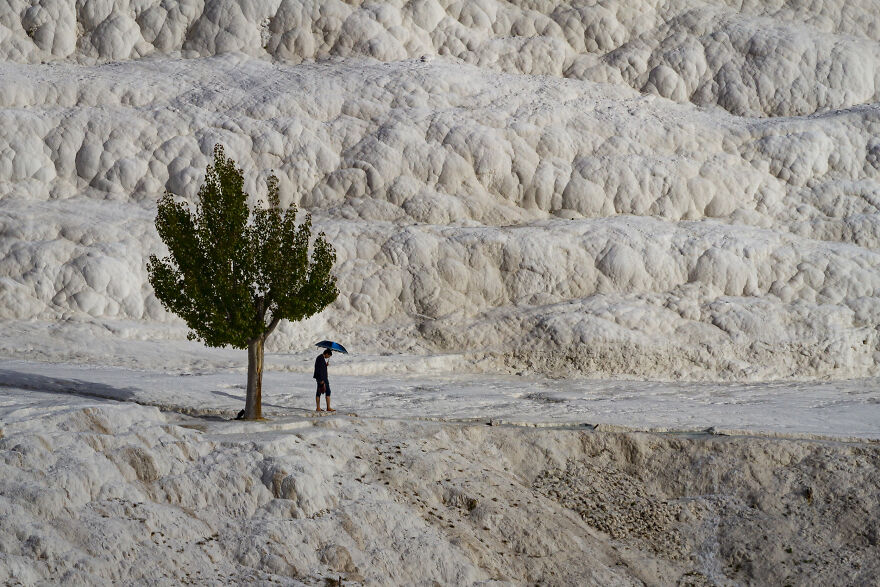 See The Winners From The Sony World Photography Awards 2023