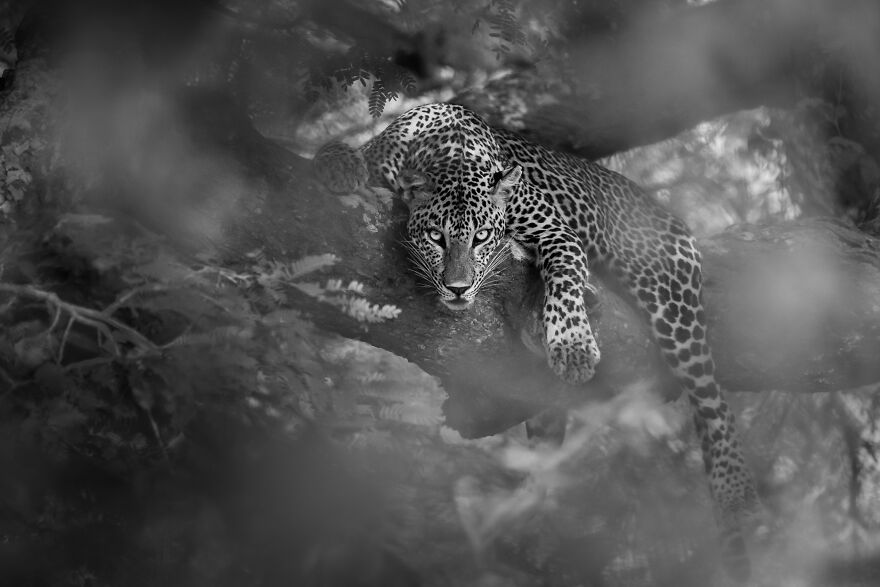 See The Winners From The Sony World Photography Awards 2023