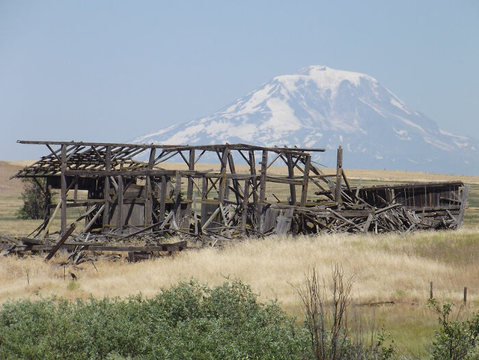On A Short Trip Through Washington State