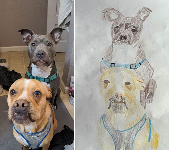 Shelter Raises Funds Through Bad Pet Drawings