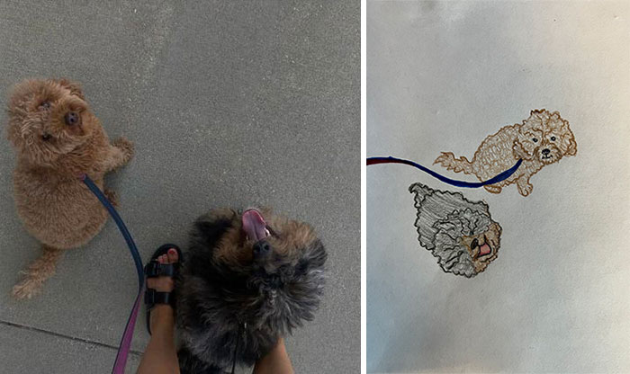 Shelter Raises Funds Through Bad Pet Drawings