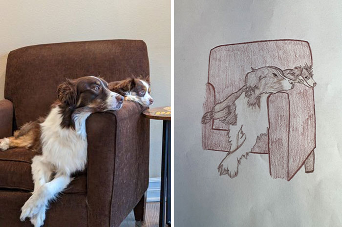 Shelter Raises Funds Through Bad Pet Drawings