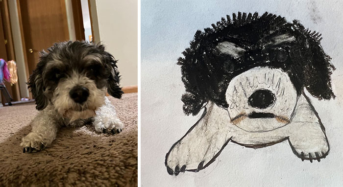 Shelter Raises Funds Through Bad Pet Drawings