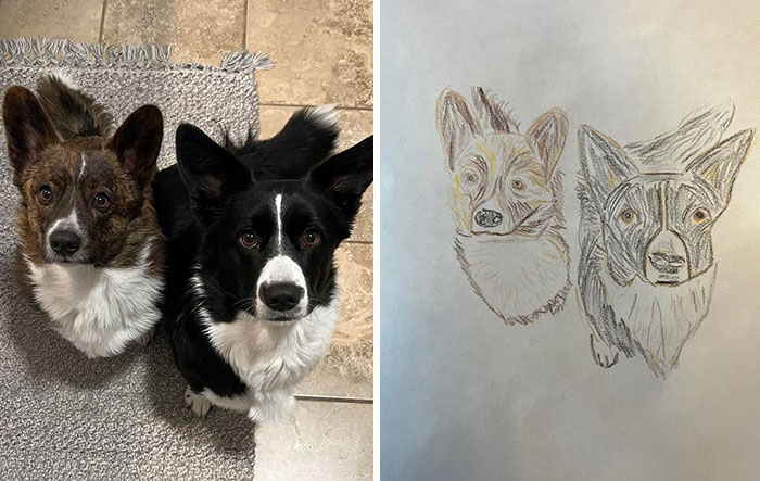 Shelter Raises Funds Through Bad Pet Drawings