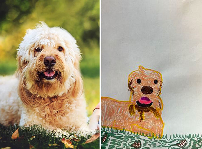 Shelter Raises Funds Through Bad Pet Drawings