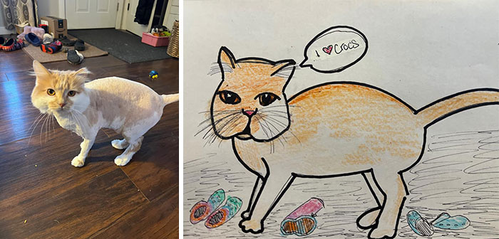 Shelter Raises Funds Through Bad Pet Drawings