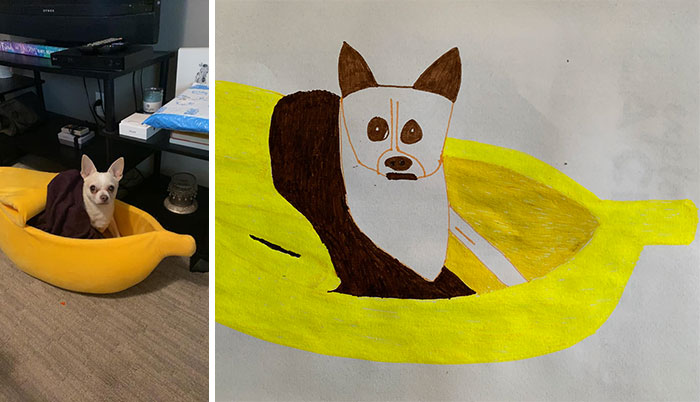 Shelter Raises Funds Through Bad Pet Drawings