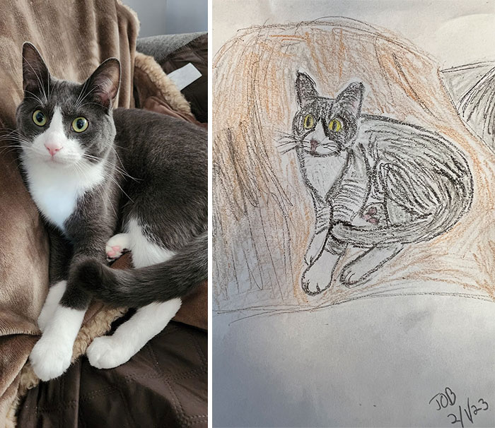 Shelter Raises Funds Through Bad Pet Drawings
