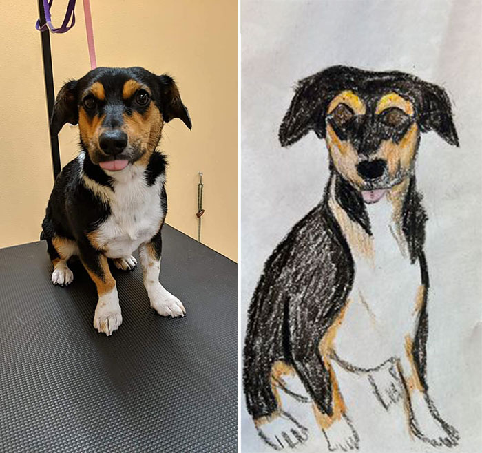 Shelter Raises Funds Through Bad Pet Drawings