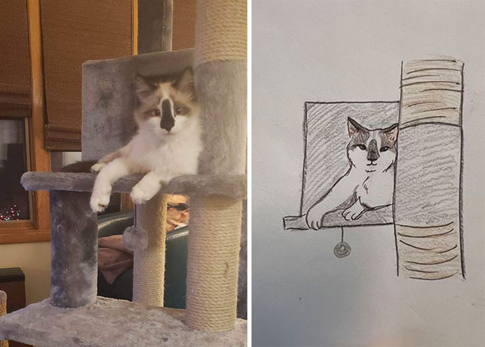 Shelter Raises Funds Through Bad Pet Drawings
