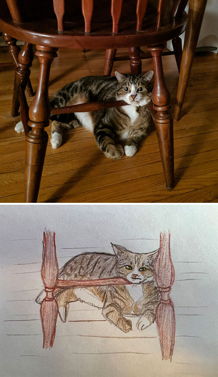 Shelter Raises Funds Through Bad Pet Drawings