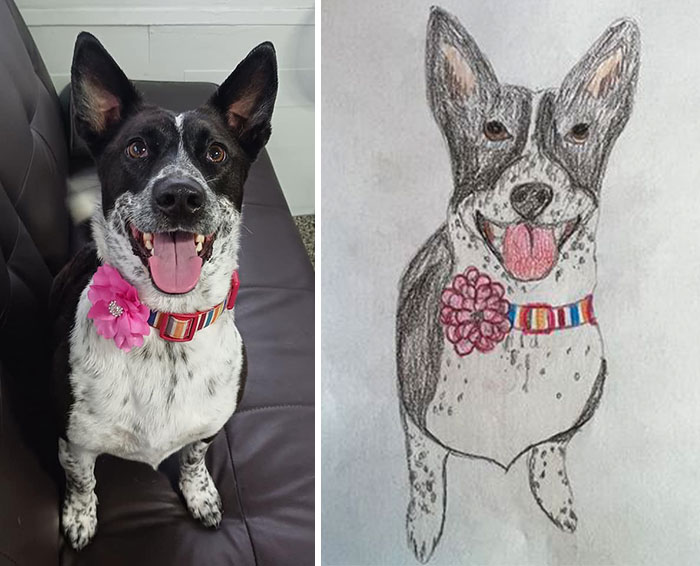 Shelter Raises Funds Through Bad Pet Drawings