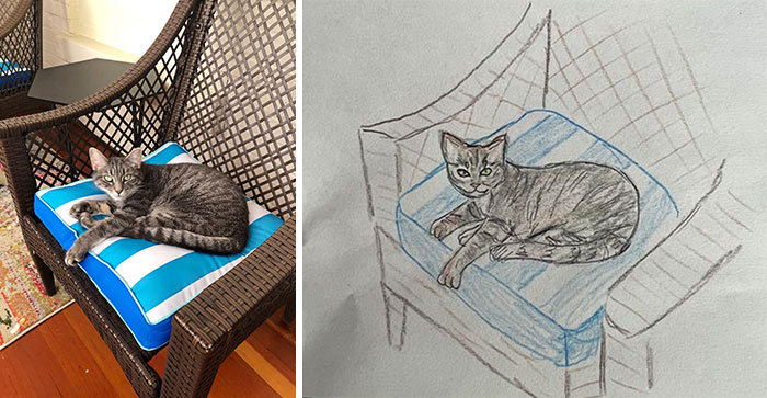 Shelter Raises Funds Through Bad Pet Drawings