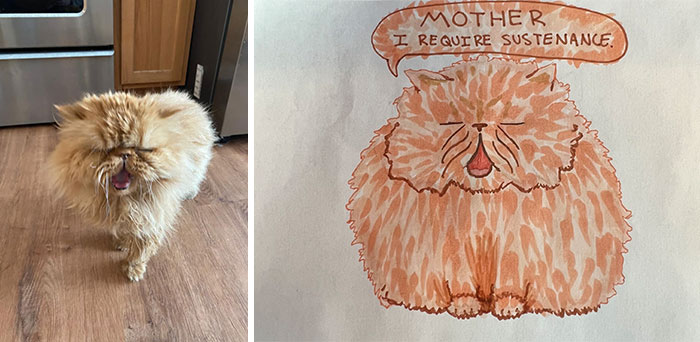 Shelter Raises Funds Through Bad Pet Drawings