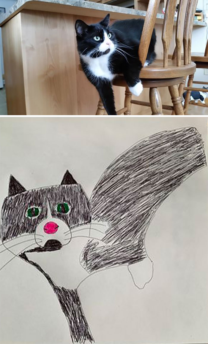 Shelter Raises Funds Through Bad Pet Drawings